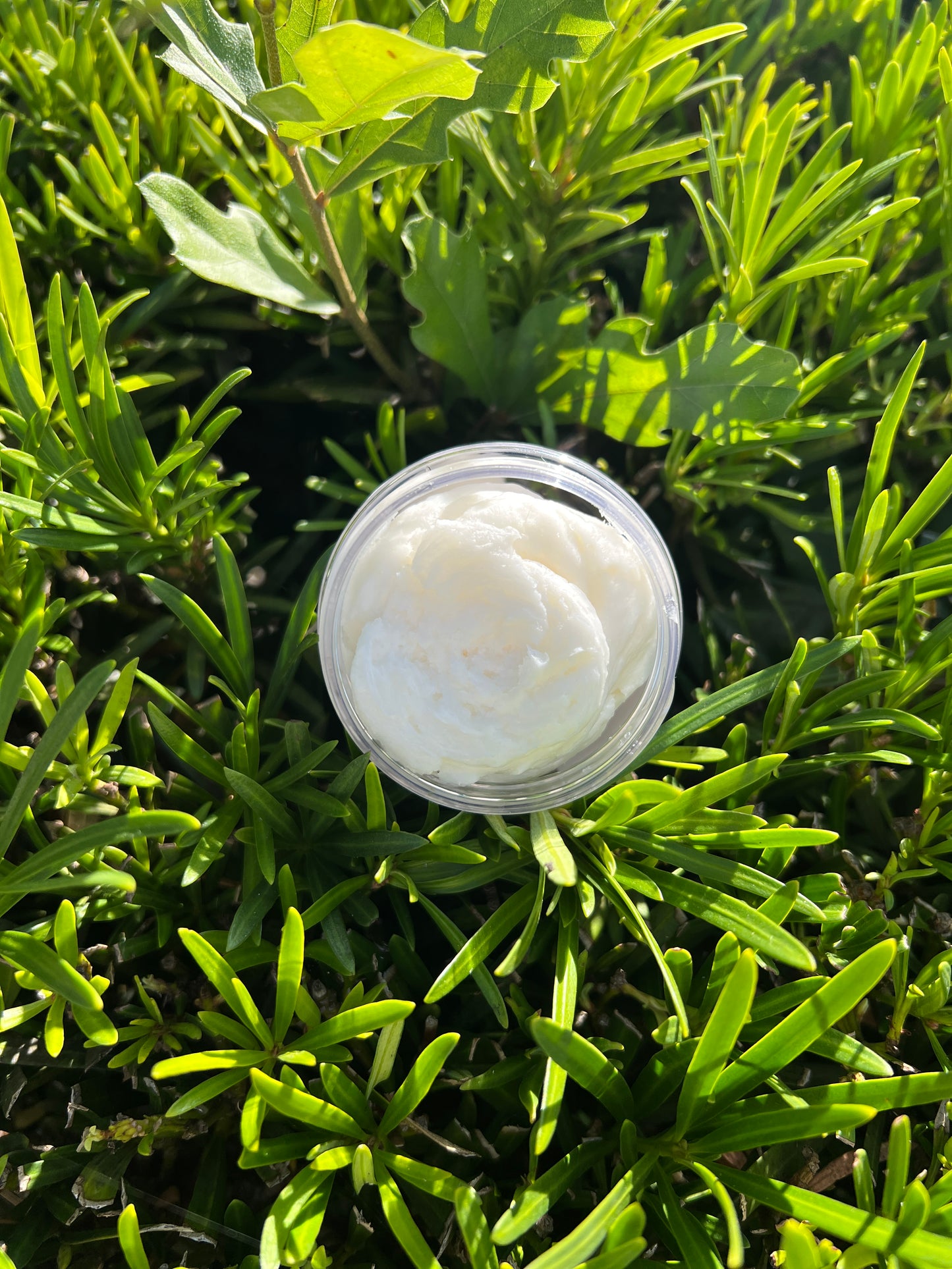 Whipped Cloud Body Butter 4 oz